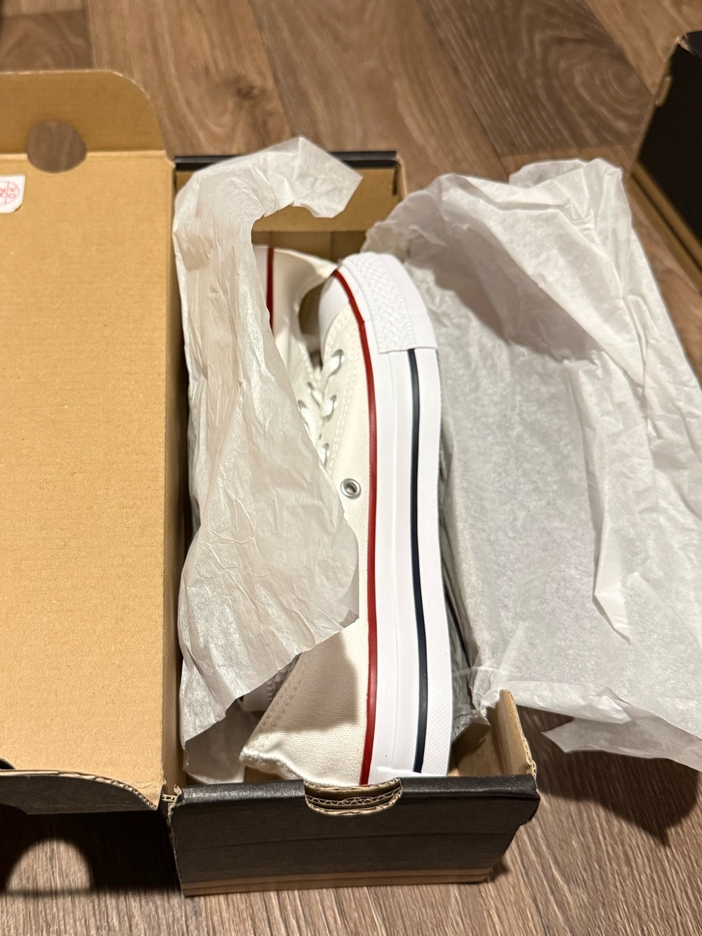 Converse Women’s Low Top Canvas Sneaker in White with Red & Black Trim